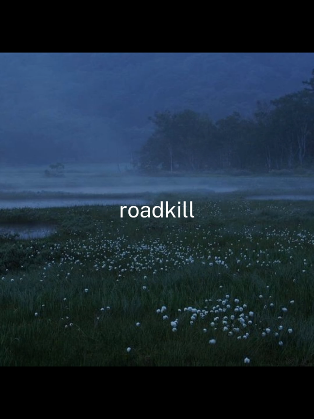 lullabies in a glass wilderness  #fyp #parati #katiejanegarside #lalleshwari #songs #aestheticedit #vibes #lyrics #letra #paratii #fypp #xyzbca #viral #resubida 