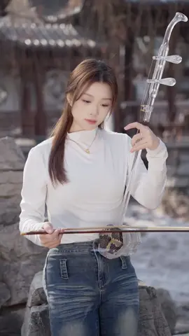 美丽的神话 - Mei li de shen hua. #fyp  #二胡 #美丽的神话 #民乐 #chinesemusic #musicmandarin #instrumental #erhu #viralpost