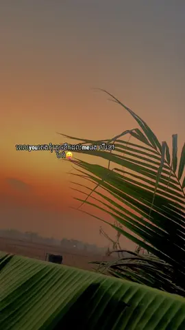 Good night everyone💕#fpyシ #fpyシviral #អត់ល្បីដូចគេទេ😞💗 #foryou #fyp 