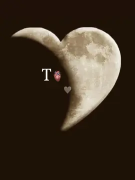 𝐓>𝗩𝗲𝗿𝘀𝗶𝗼𝗻 💗