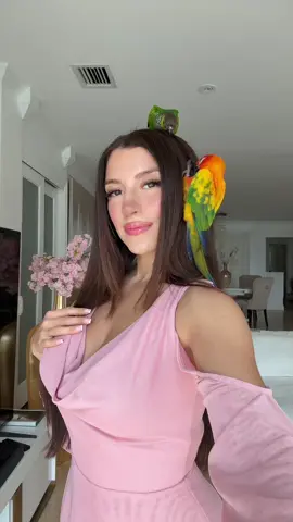 good morning 🌞 #parrot #bailalorocky #dance #trend #fyp #miami 