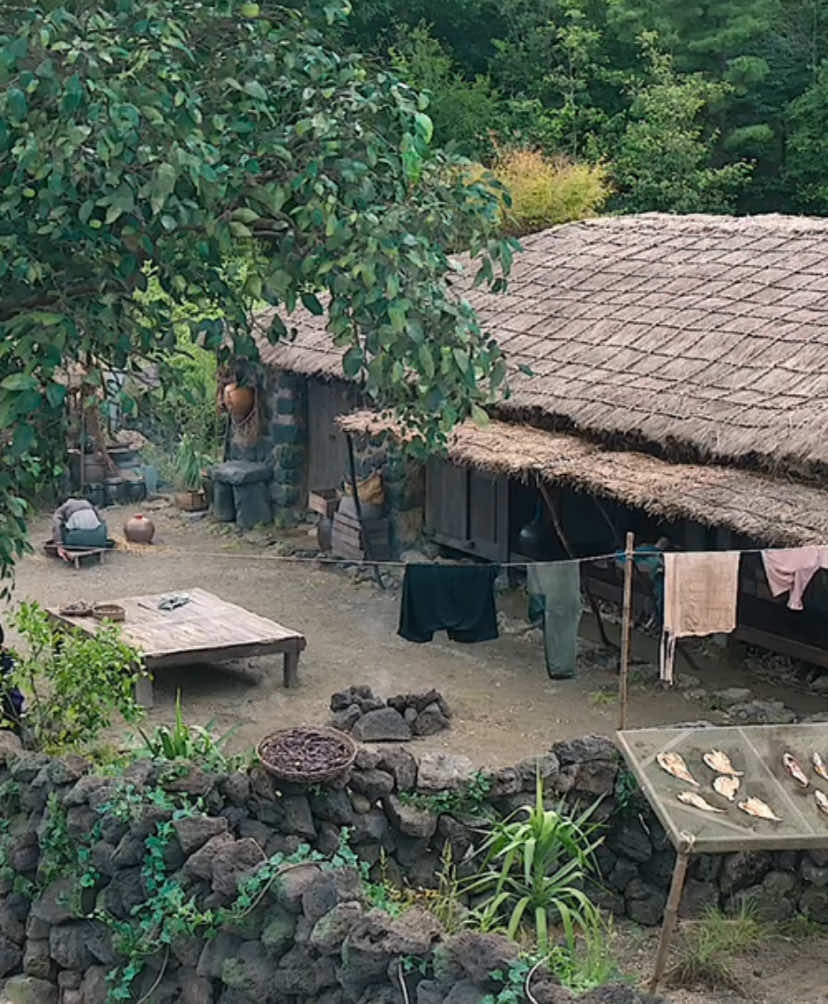 when life gives you tangerines (2025) #kdrama#kdramaedit#thebeautyof#whenlifegivesyoutangerines#edit#cinematography#iu#parkbogum#filmedit#movieedit#asiancinema#sageflm#fyp 