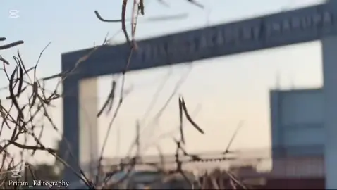 #goviralgo #PreciousAcademysmartschoolinaruwasunsari🥰❤️#inaruwamuser #followmyaccount🙏❣️ 