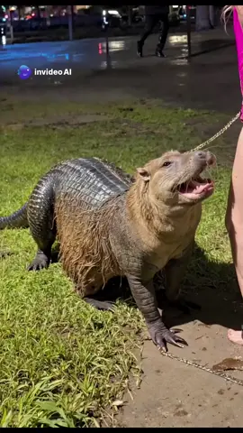 New species 