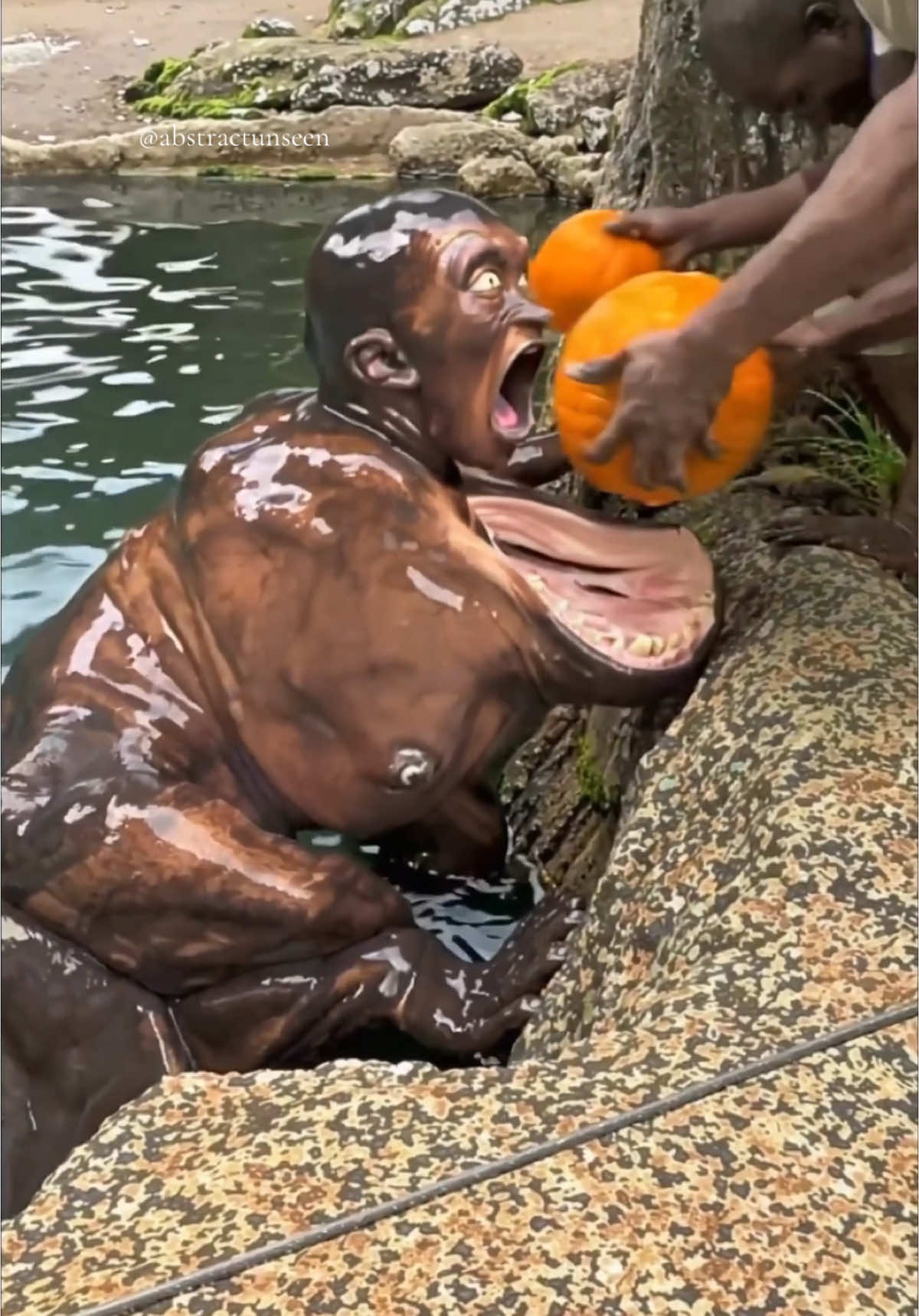 Hungry hungry hippo!  #cursed #creature #hippo #weird #ai #bodyhorror #aiartcommunity 