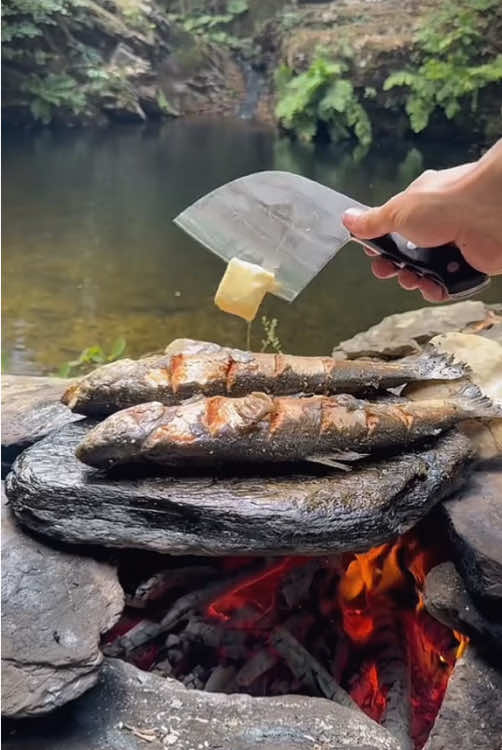 Grilled salmon on hot rocks in nature 🐟💦🪵🔥   #outdoorcooking #cookingasmr #Recipe #leon #cookingnature #camping #foodtiktok #cooking #grilled #salmon 
