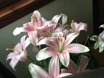 lilies #lily #lilies #flower #flowers #pinterest #pinterestaesthetic #lilyflower #aesthetic #fyp #cinnamoony 