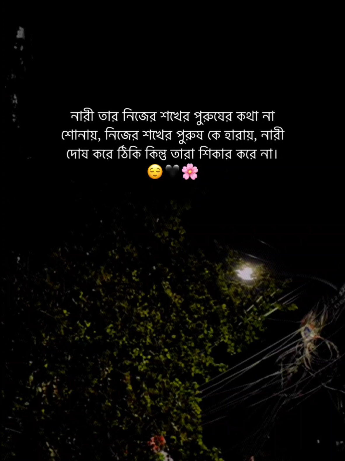 নারী তার নিজের শখের পুরুষের কথা না শোনায়, নিজের শখের পুরুষ কে হারায়, নারী দোষ করে ঠিকি কিন্তু তারা শিকার করে না। 🌸🖤😌 #foryou #foryoupage #fyp #status #caption #writer #mahu_sohu #viral #bdthiktok 