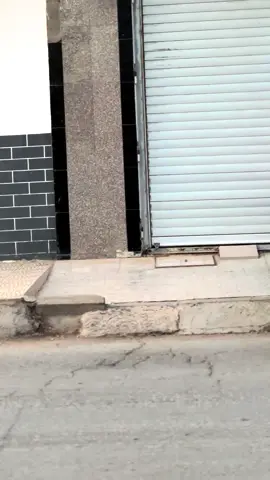 #fypシ #foruyou #golf8 🖤