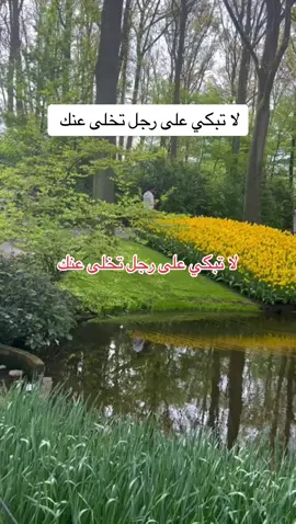 لا تبكي على رجل تخلى عنك #كلام_من_ذهب #وسيم_يوسف #pourtoipage #viralvideos 