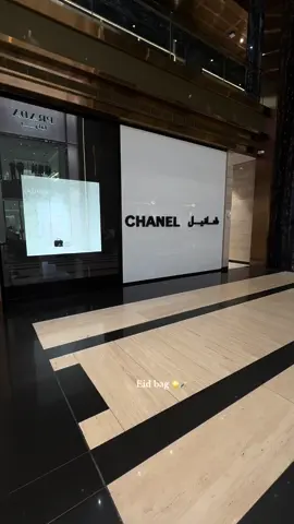 Girl just wanna have fun ✨#foryou #explore #chanelvanity 