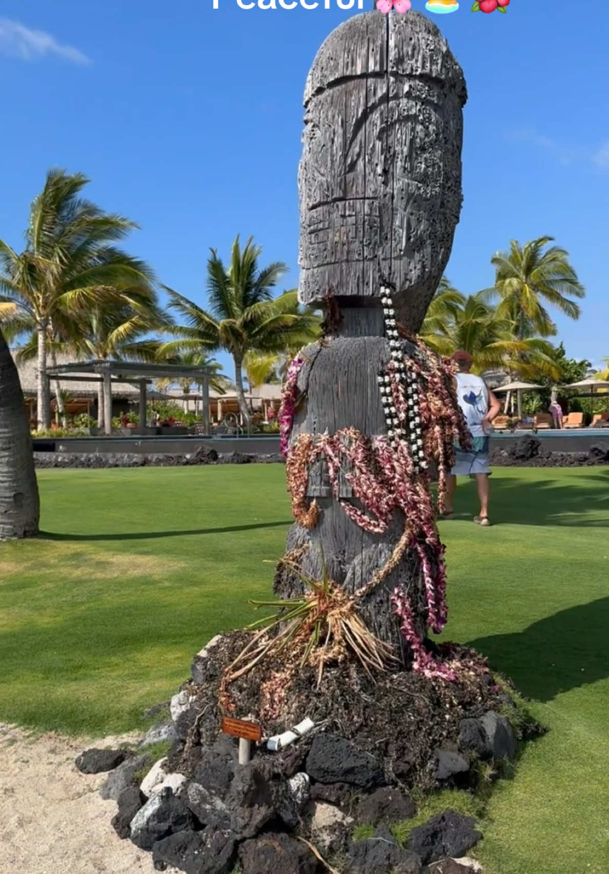 Beautiful bungalows at Kona village #hawaii #bigisland #aloha #kona #konavillage #hawaiilife #aloha #ocean 
