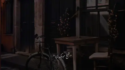 الحمدلله على كل حال 🥺🤍 #مبروك_زيد_الخير  #صلي_على_النبي 