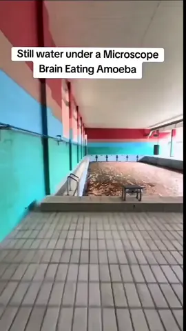 #aatrox #leagueoflegends #fyp #lol #meme