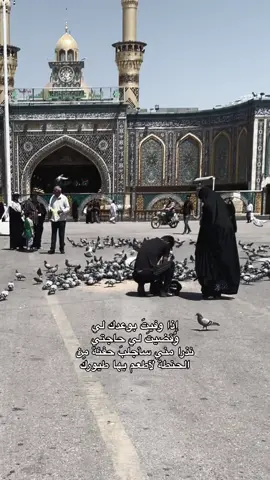 #الامام_العباس_عليه_السلام #كربلاء #تصويري #اللهم_صل_على_محمد_وآل_محمد 