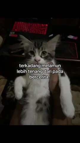 percuma mau cerita ke siapa, orang ngga punya someone to talk #sadvibes #galaubrutal #fyp #fouryoupage #xybca #wcnstory #boysdontcry 