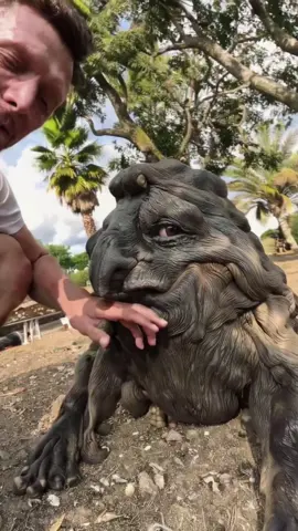 #weirdcreature #weirdpets #animalsoftiktok #cursed #animal 