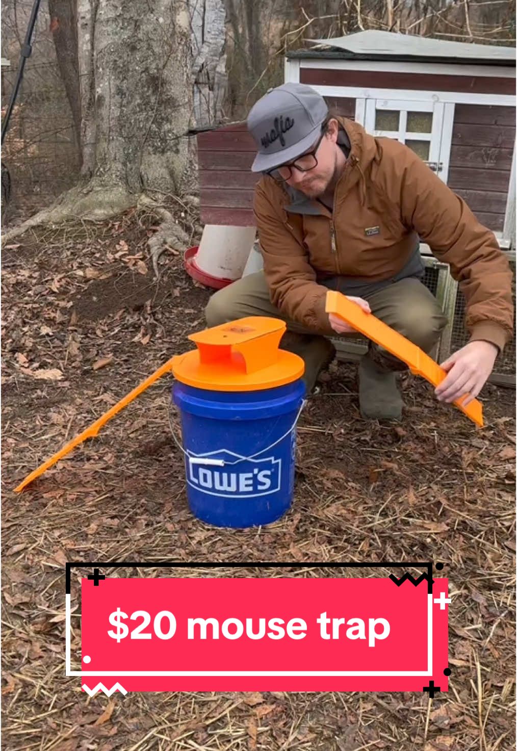 Does a $20 mousetrap actually work? #mouse #infestation #trappin 