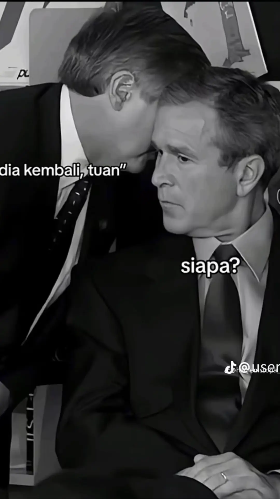 boleh cari makan ke 👀