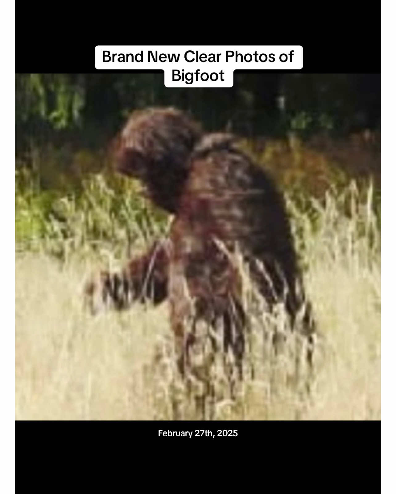 *NEW CLEAR PHOTOS* of Bigfoot Creature Spotted on Mount Saint Helens #foryou #fyp #scary #scarystories #scarytiktoks #bigfoot #bigfootisreal #creature #caughtoncamera #cryptid 