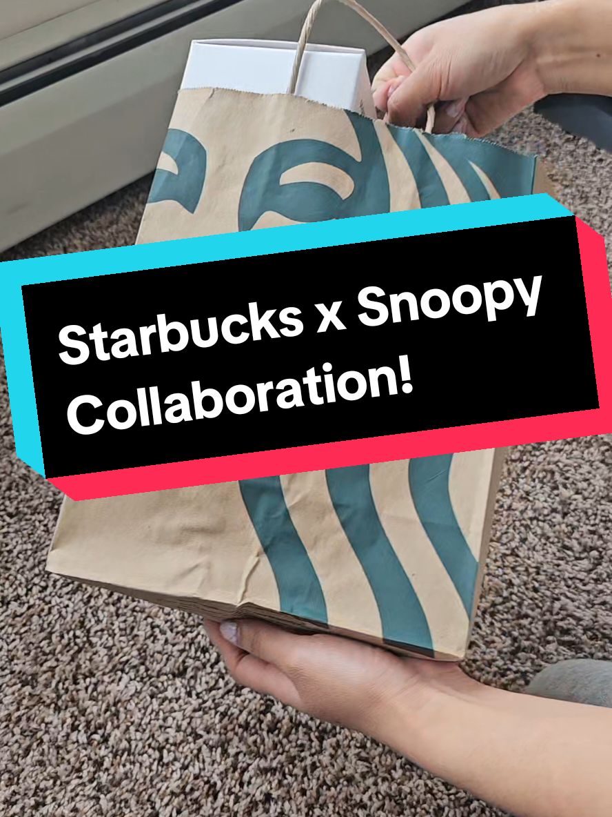 Run don't walk to Starbucks before they run out!  #Starbucks#snoopy #fyp#woodstock#collab#tumbler 