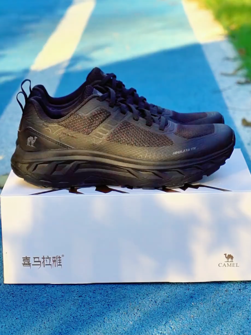 Giày Thể Thao 2025 Air Fly Himalaya😍#camel #CamelCrown #CamelShoes #giàyhot2025 #outdoorgear #giàythểthaoCamel #Đibộđườngdài #Chinhphụcđỉnhnúi 