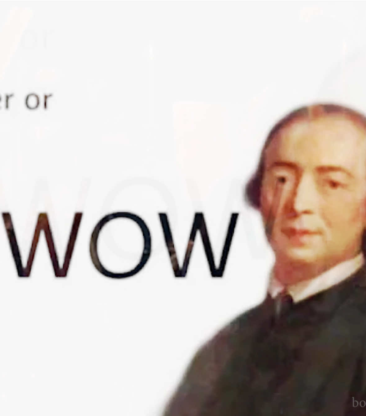 German “Enlightenment” #voiceover #voiceacting #voice #meme #funny 