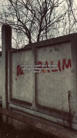#userhsmovv 