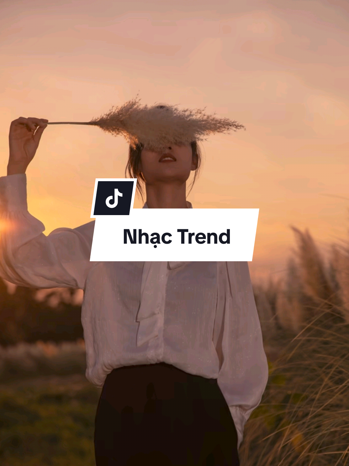 Nhạc trend quá hay #nhactinhsaulang #nhacremix #SBKentertainment #bossnhac #nhacsuybuon 