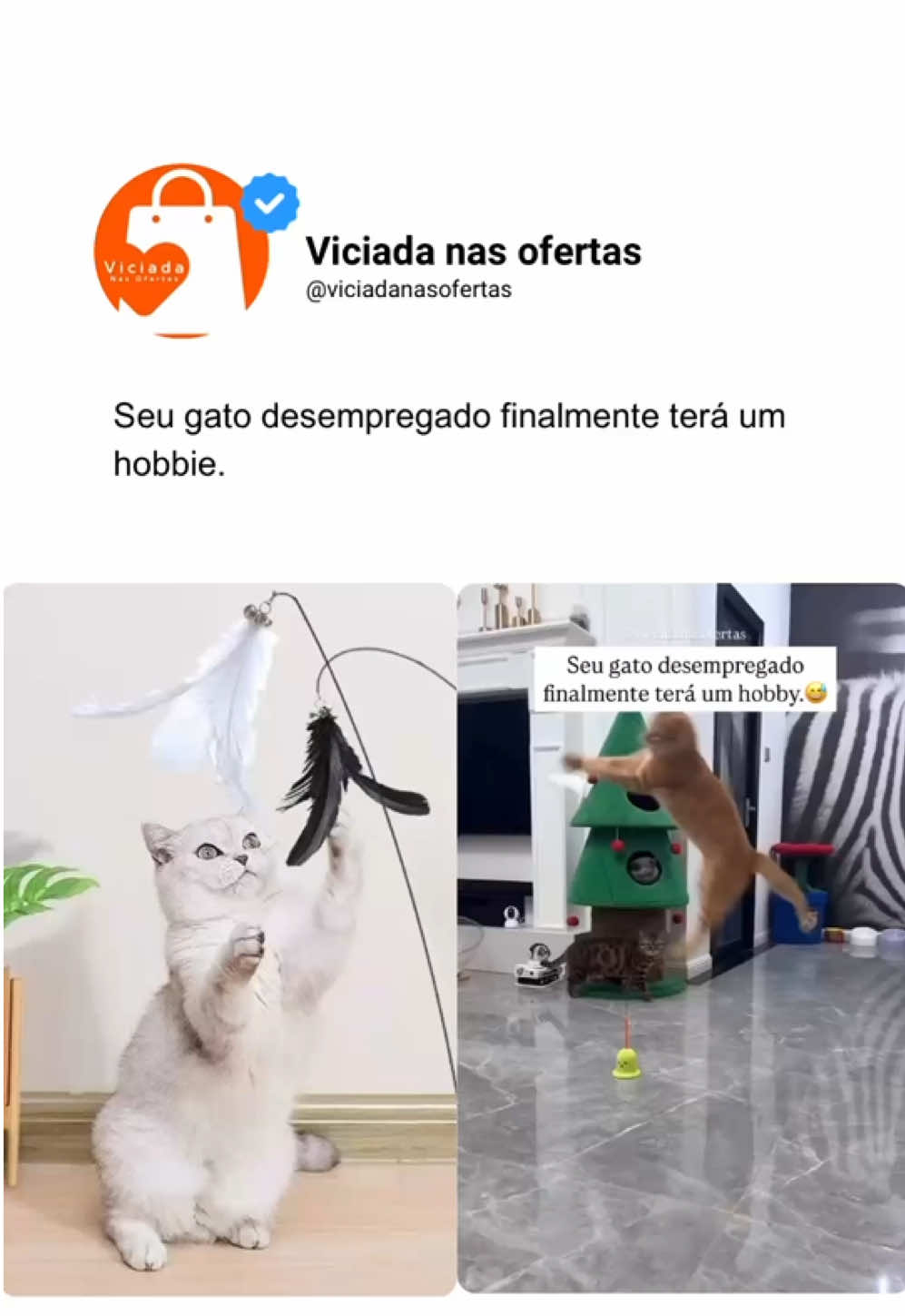 🚨Id da shopee: BTM-KXM-SQE Link na bio #gatos #achadinhos #viralizou #achadinhos #achadosshopee #viral #viraltiktok #viralvideo 