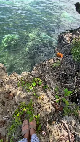 Oh ito pang mydya nyu🌊🍃🌿☘️#copylinkplease💗 #panglaobohol #fypシ゚viral🖤tiktok #beach #tambayan 