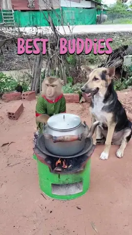 Best buddies#tiktok #fyp #animals #cute #pet #knowledge #foryoupage 