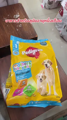 อาหารสำหรับสุนัขหนึ่งเดือน #อาหารสุนัข #อาหารสุนัขpedigree #pedigree #อาหารเม็ดสำหรับสุนัข #อาหารสำหรับสุนัขเด็ก #อาหารลูกสุนัข