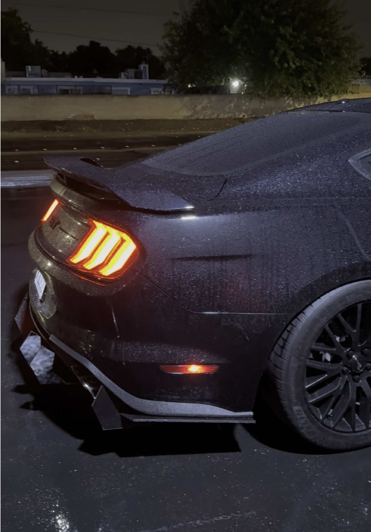 🐎🖤  • • • #mustang #murderedout #cars #ford #lowered #americanmuscle #fyp #carsoftiktok #s550 #blackcars #blackedout #musclecar #mustanggt #nightdrive #gt350 #shelby #v8 #mustangfanclub #coyote #cartok 
