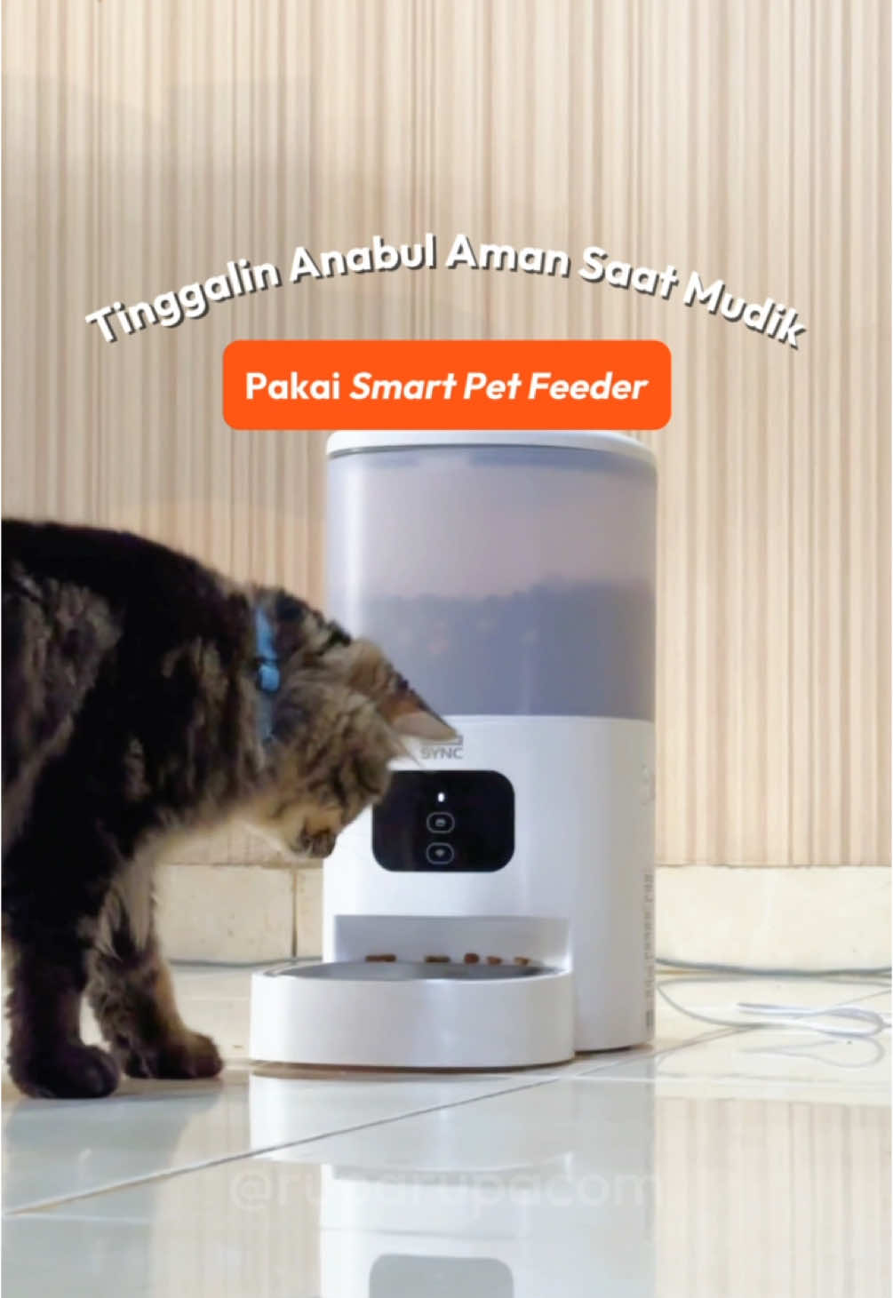 No worries ninggalin anabul pas lagi mudik! Karena ada smart pet feeder dari Krisbow Sync yang bisa dikontrol lewat HP kamu✨ Yuk check out di 10554951🧡💙 #ruparupa #PetFeeder #KrisbowSync #SmartFeeder #fyp #foryou #Anabul #fypage #Mudik 