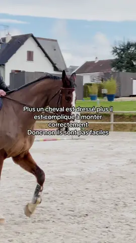 Ig: monnaprs #pourtoii #horse #cavalier #fyp #trends #equitation 