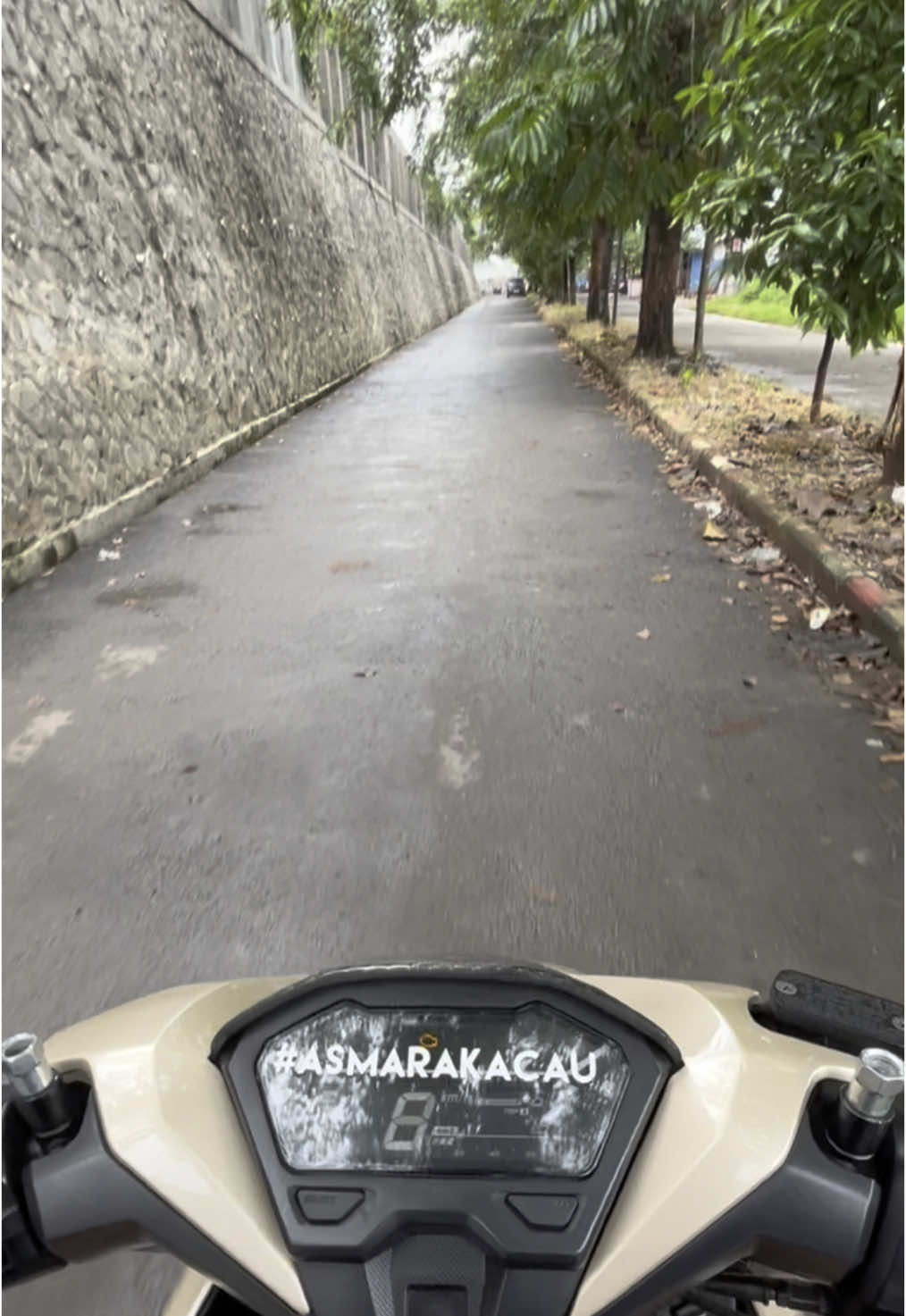 gatakut kotor dah #vavarioan #ogahjinjit #helikopterdarat #armluster #trendtiktok #maticshine💫 