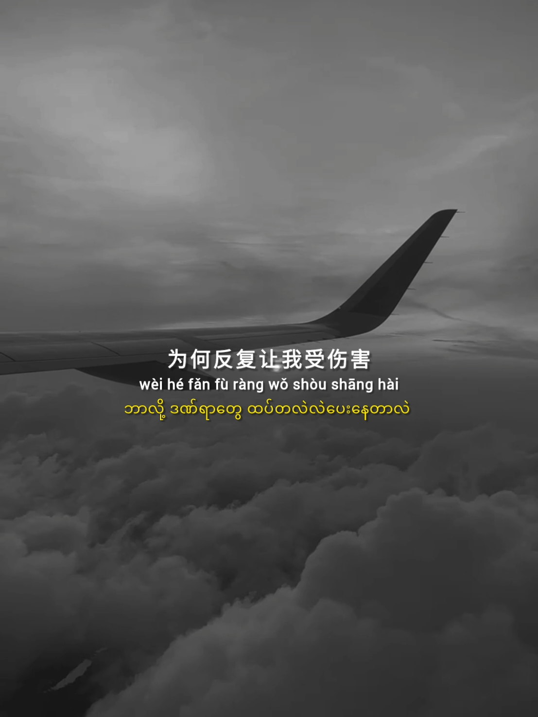 伤心剖半 #chinesesong #pinyin #songlyrics #song #music #tiktok #fyp 