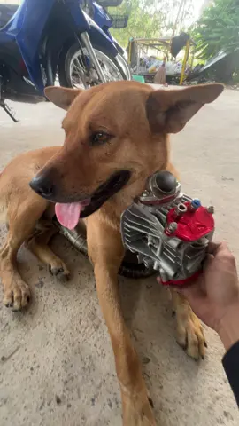 80/10🤣#kaDewRENRP🔰 