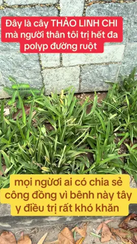 @FB Bác sĩ Thái @Bs Thái #bsthai 