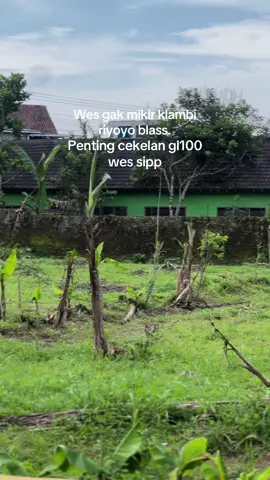 Nggeh mboten  #gl_banggal 