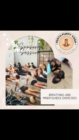 ✨Experience the Calm: Sensory Puppy Meditation & breathing in Perth!✨ Join us for Perth's first-ever Sensory Puppy session - a peaceful fusion of mindfulness, breathing exercises, and the calming presence of adorable puppies! • What to expect: - Mindfulness techniques to promote mental clarity. - Breathing exercises to soothe the mind & body. - Puppy cuddles and play to lift your spirits. This session is designed to help you unwind, reconnect, and feel joy in the present moment. Spots are limited! Book your place now and create a deeper connection with your inner peace and playful pups of course. ° Location: Feld & Co, Perth Date & Time: 21st of April @ 5.30pm #PuppyYoga #Mindfulness #BreathingExercises #YogalnPerth #PerthYoga #SensoryYoga #WellnessJourney #MindfulMoments #PuppyLove #PerthEvents #YogaAndPuppies #SelfCare #Relaxation #PerthWellness #FirstInPerth #yogatherapy #perth #todo #events #inclusive #safespace #allarewelcome #fyp #fypシ゚ #joinus #meditation #mentalhealthmatters #tiktok 