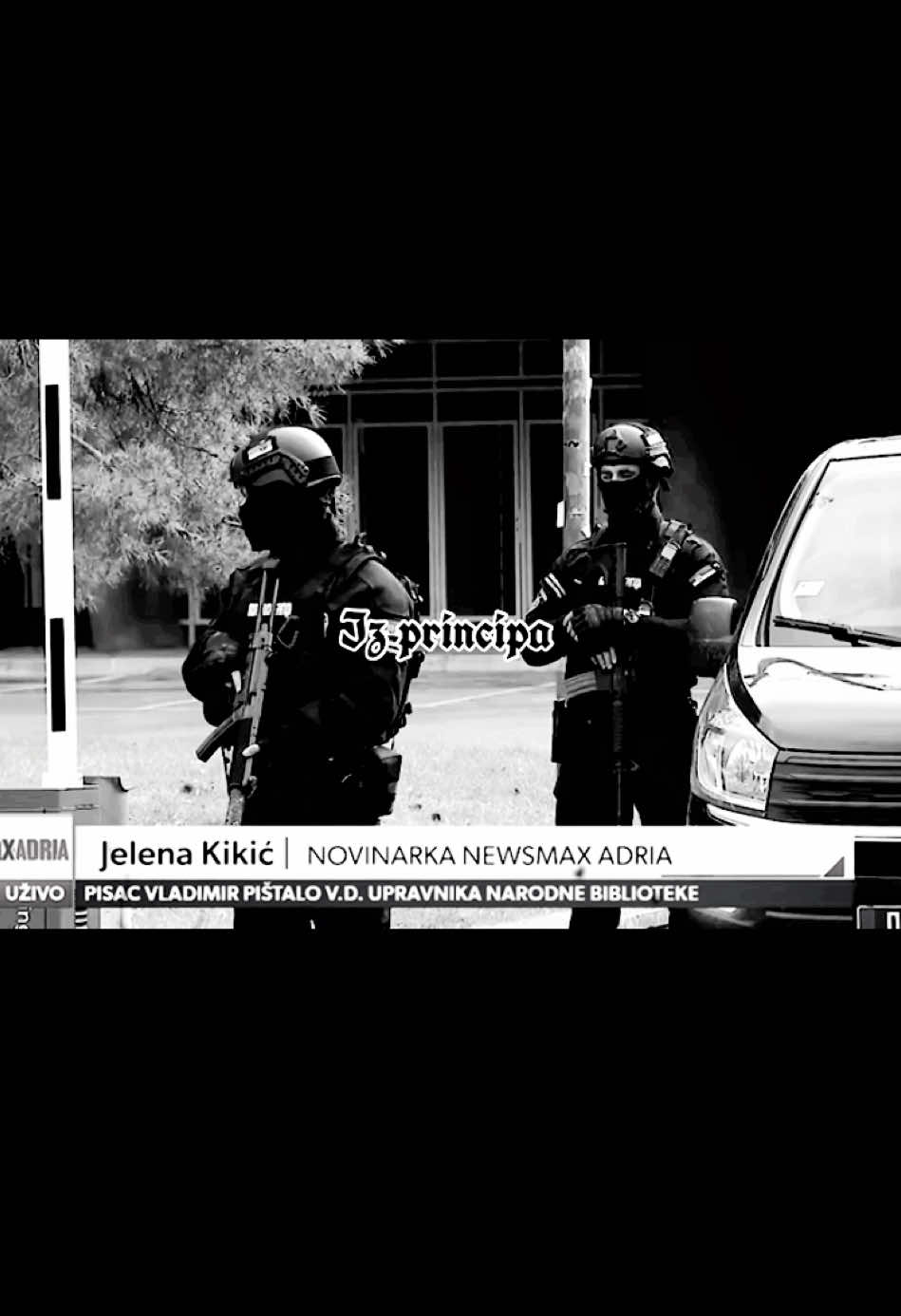 🐺❗️#veljanevolja #markomiljkovic 