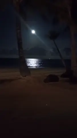 Calm sea, perfect peace 🌊🍂  #trendingtiktok #trend #sea #songlyrics  #adventure #vibes #beach  #nature #tiktok #fyp #fyppppppppppppppppppppppp #night #musicvideo #song #musicvideo #sadsong #qoutes 