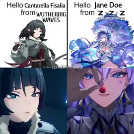 Devs know their audience too well 👄 #wutheringwaves #cantarella #wuwa #cantarellawutherimgwaves #janedoe #zenlesszonezero #zzz #janedoezenlesszero #hoyoverse #vaiprofycaramba #foryoupage #fakesituation 
