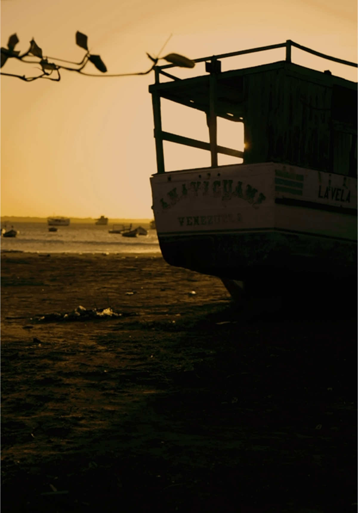 S . O . M . O . S🇻🇪 Hoy cuando prevalece el debate sobre la honestidad y la esencia del venezolano, este Corto Documental muestra que así somos; somos Caribe, gente honesta y trabajadora, que a pesar de todo, va construyendo entre la rabia y la ternura el porvenir de todo un país. #film #laveladecoro #falcónlotienetodo #venezuela 