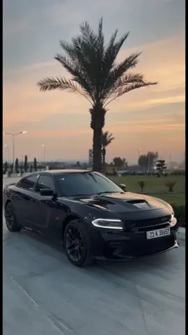 #scatpackcharger🐝 #SRT #392hemi #ماشاالله__تبارك_الله_🧿 #ranyakam___hawler___slemani_karkwk_ #ڕانیە_سلێمانی_کەرکوک_هەولێر_قەڵادزێ 