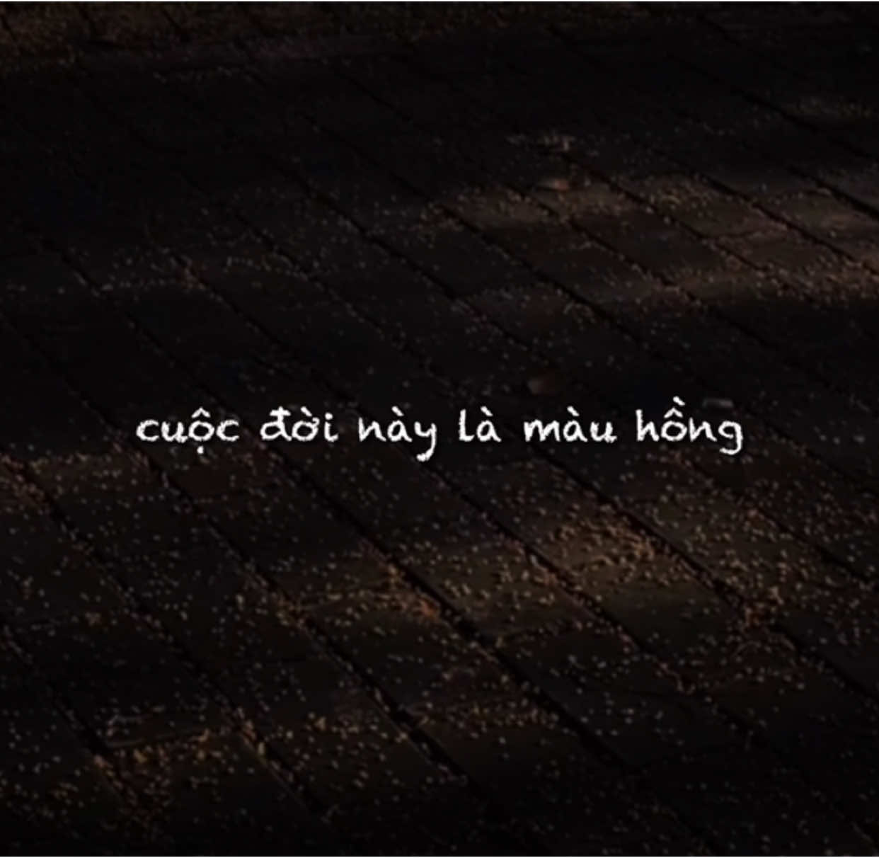 Cuộc đời này là màu hồng mẹ nói lúc con ra đời…#amnhac #nhachaymoingay #xuhuong #fyp 