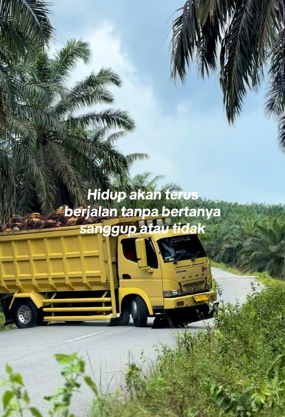 #fyp