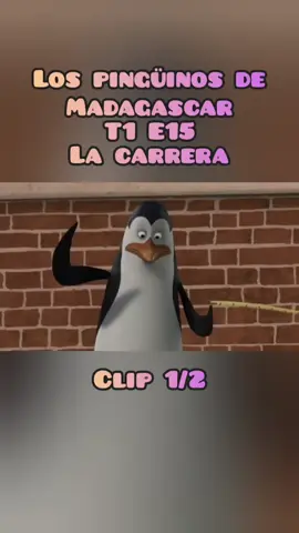 #lospinguinosdemadagascar #madagascar #paratii #fypシ゚ #fyp 